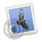 Email Setup